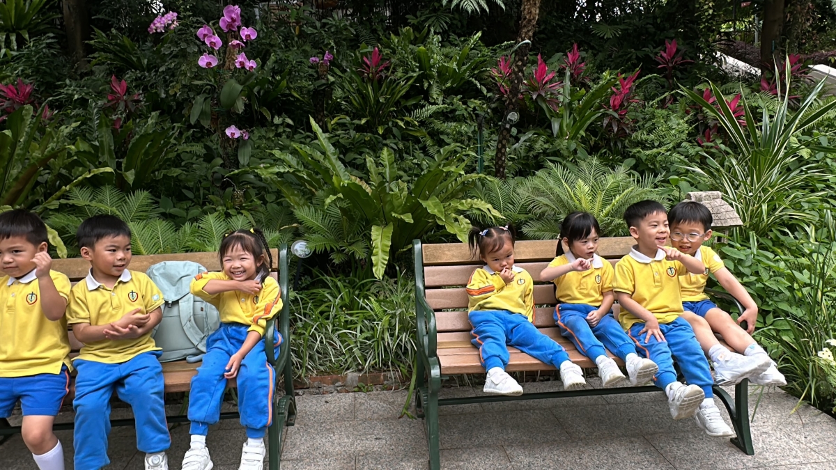Responsive image
