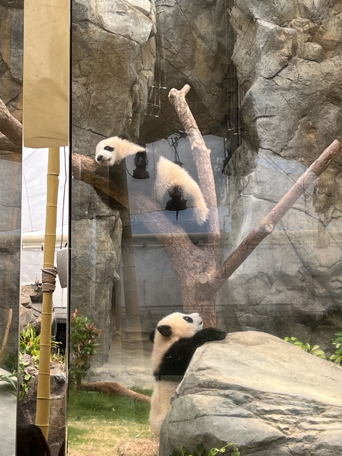Responsive image